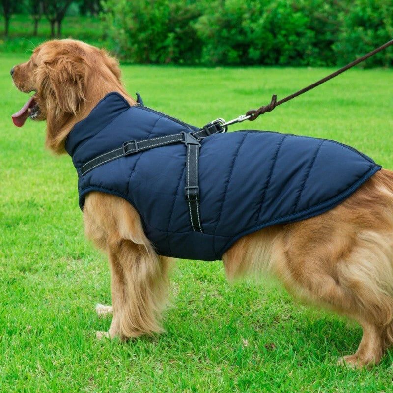 Waterproof Winter Jacket for Dogs