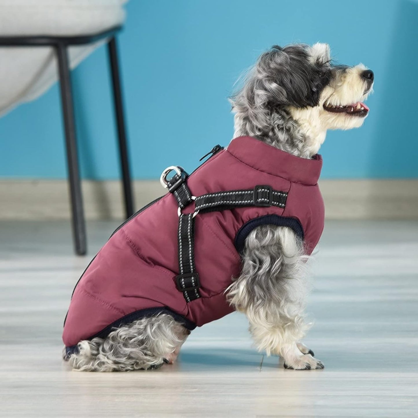 Waterproof Winter Jacket for Dogs