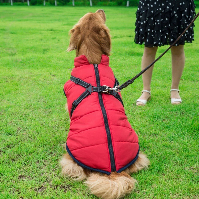 Waterproof Winter Jacket for Dogs
