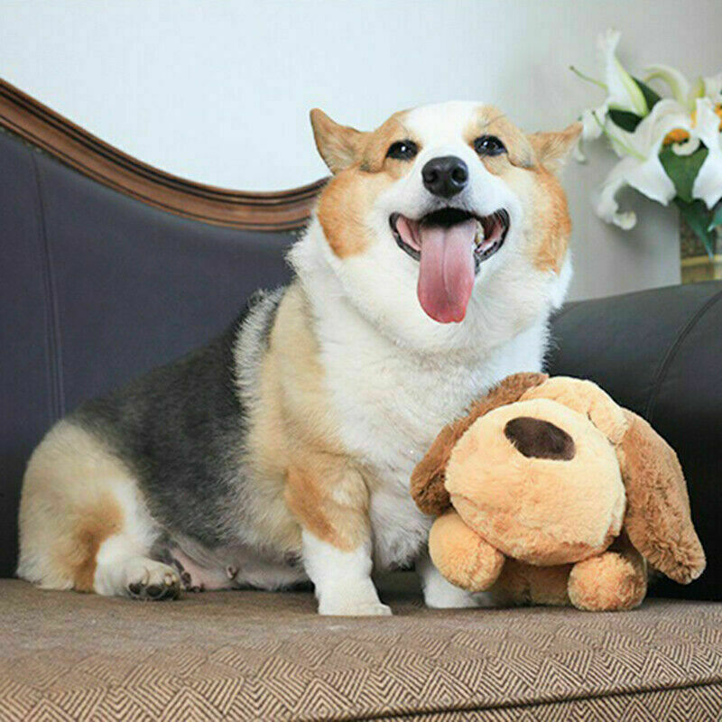 Cuddle Buddy Revolutionary Heartbeat Toy