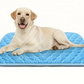 Cooling Mat for Pets