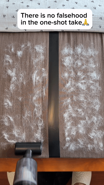 Electrostatic Hair Remover Glove