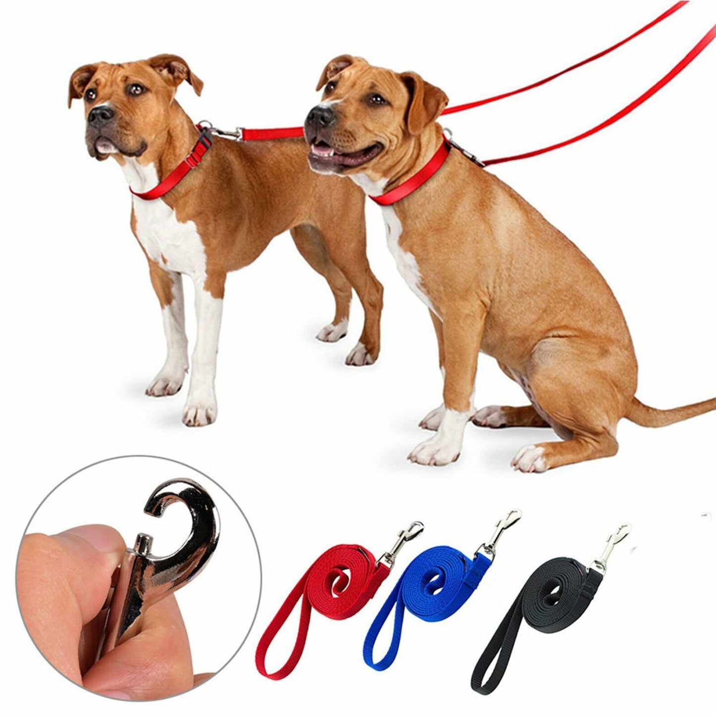 Extra Long Dog Training Leash (Obedience Recall)